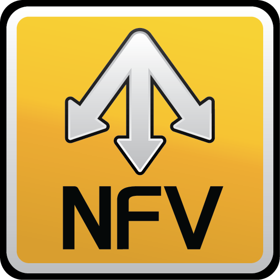 Alteon VA for NFV