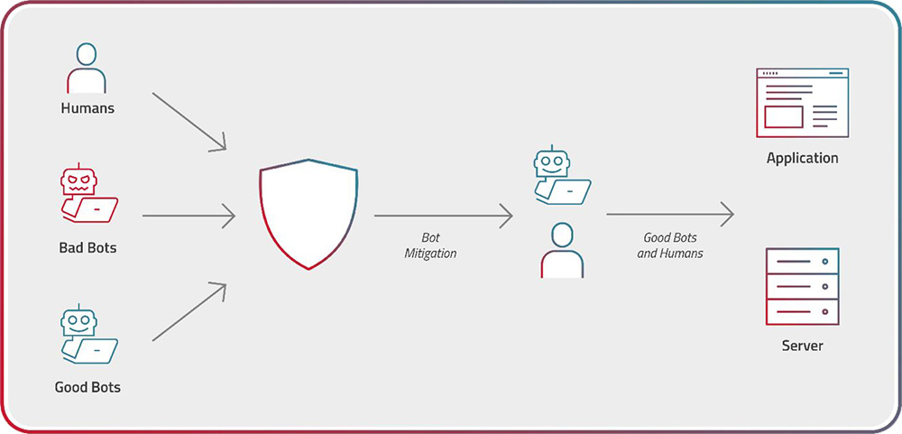Infographic: How Bot Detection Works