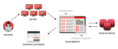 Scraping Tools and Third-Party Services