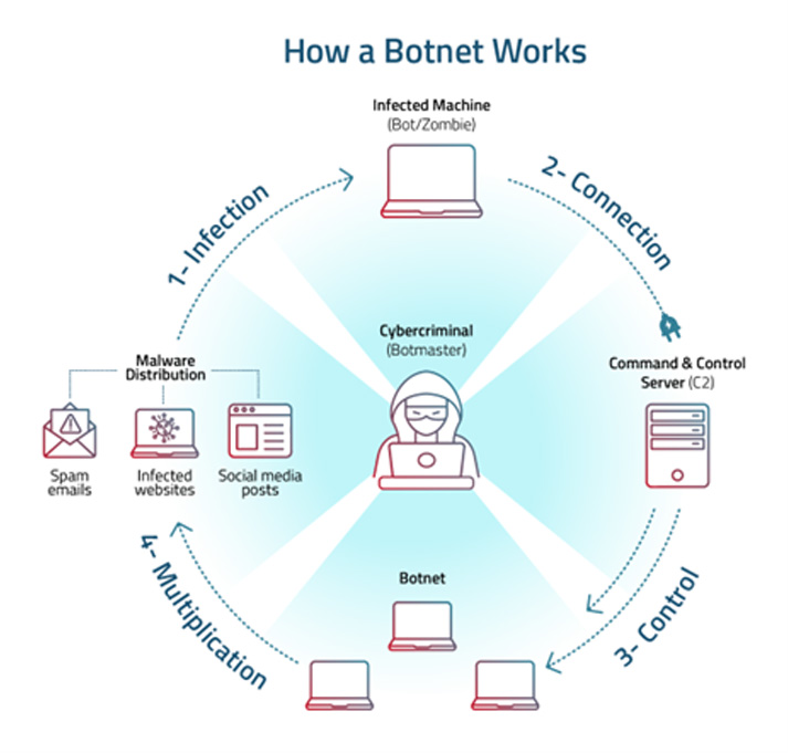 How a Botnet Works