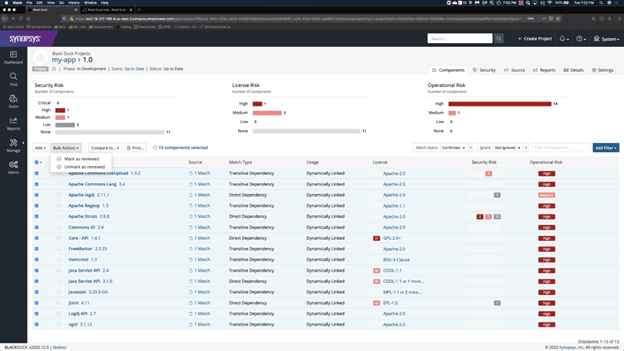 Black Duck dashboard