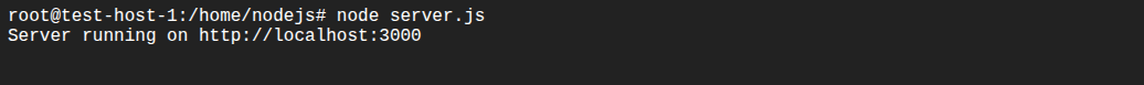 Terminal showing node server running