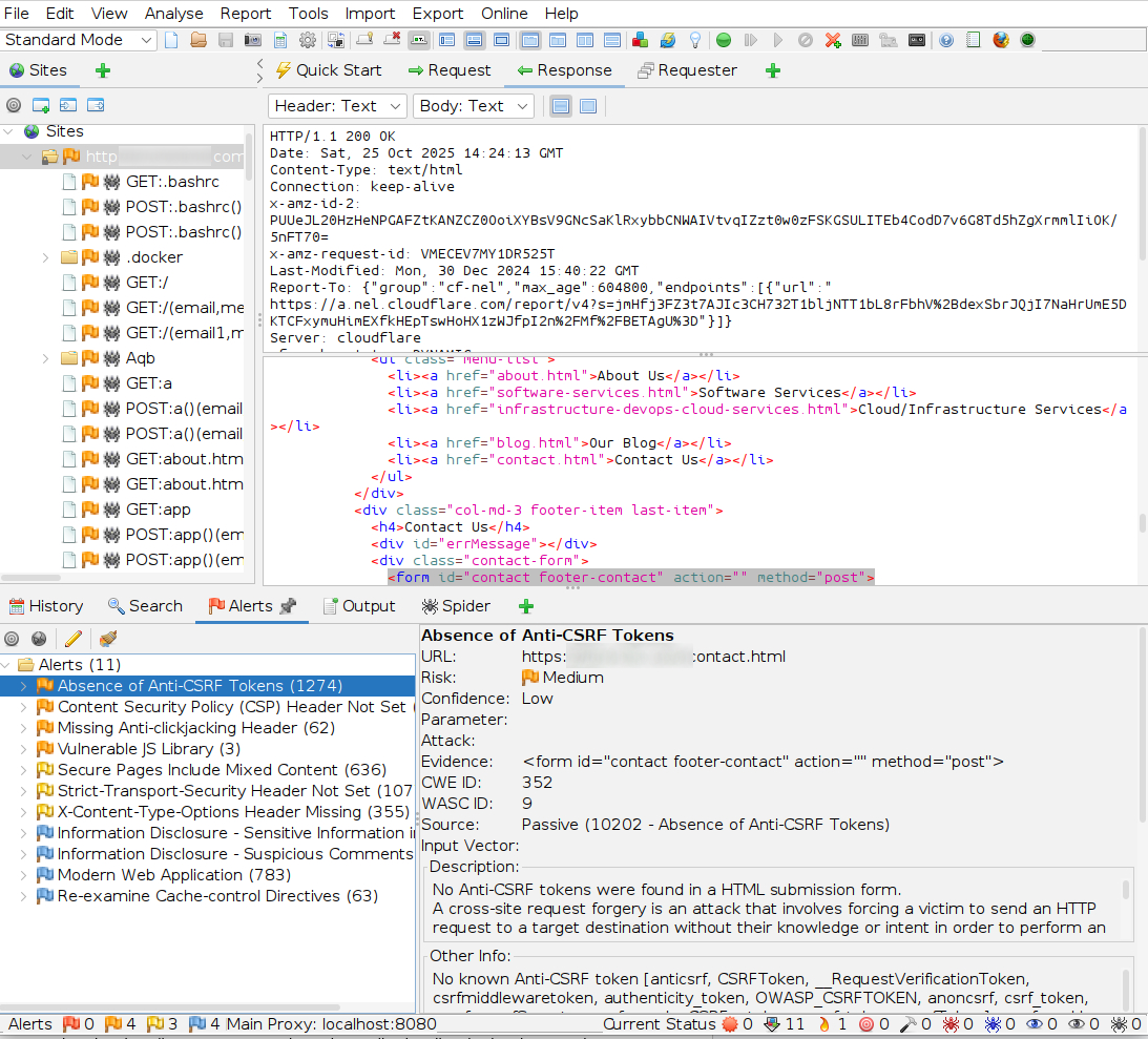 ZAP Alerts tab and risk levels