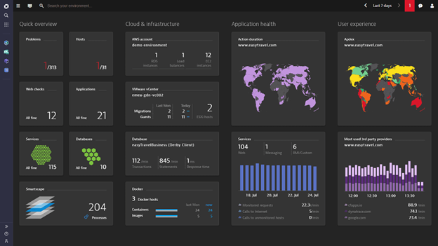 Dynatrace Application Performance Tool Dashboard