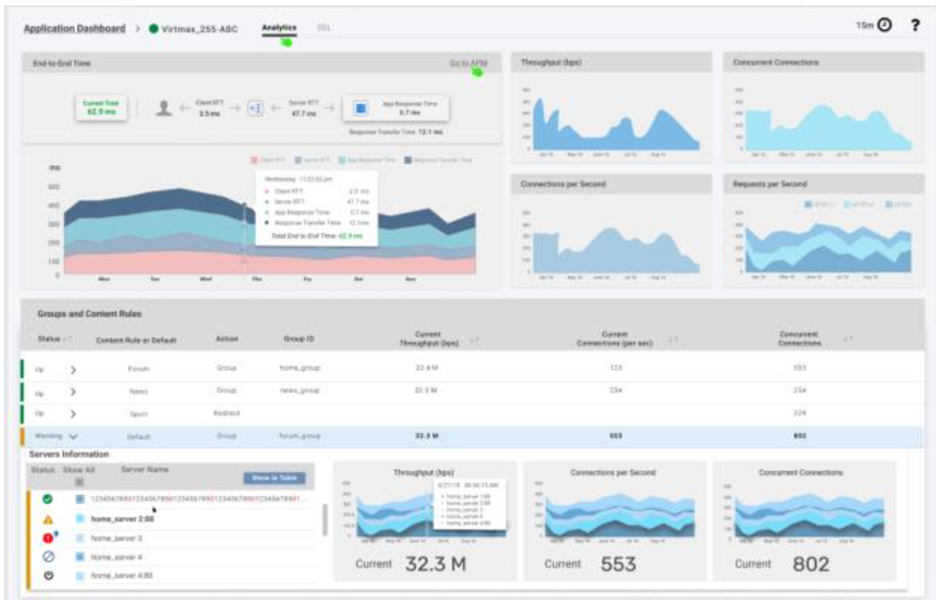 Radware Application Performance Tool Dashboard