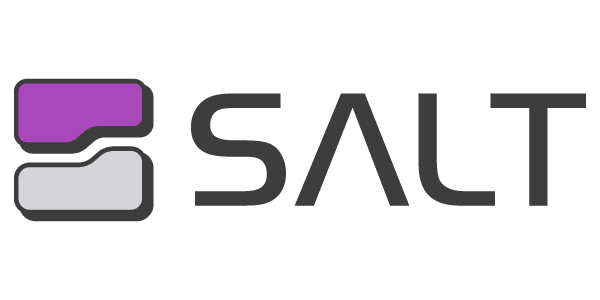 Salt Security icon