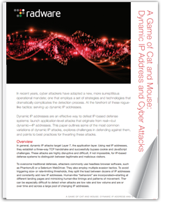 Dynamic IP Address and Cyber Attacks