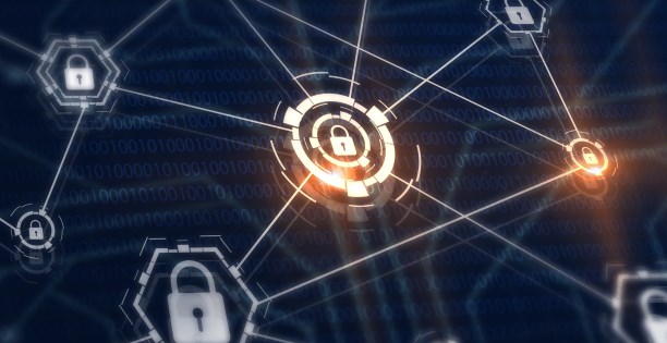 DDoS Protector Tech Specs