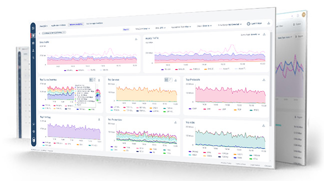 Network Traffic Visibility