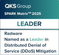Leader in SPARK Matrix DDoS Mitigation