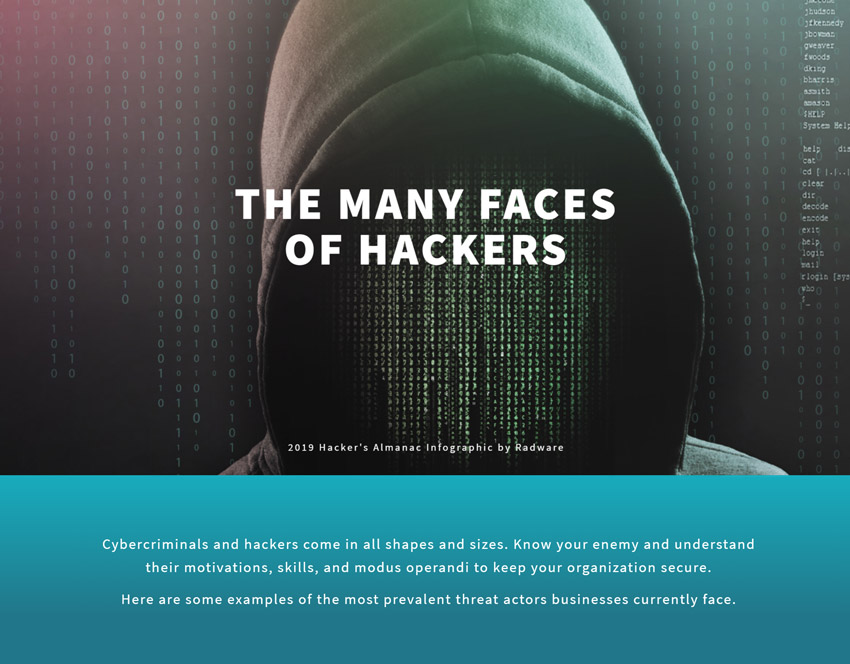 Many Faces of Hackers Infographic