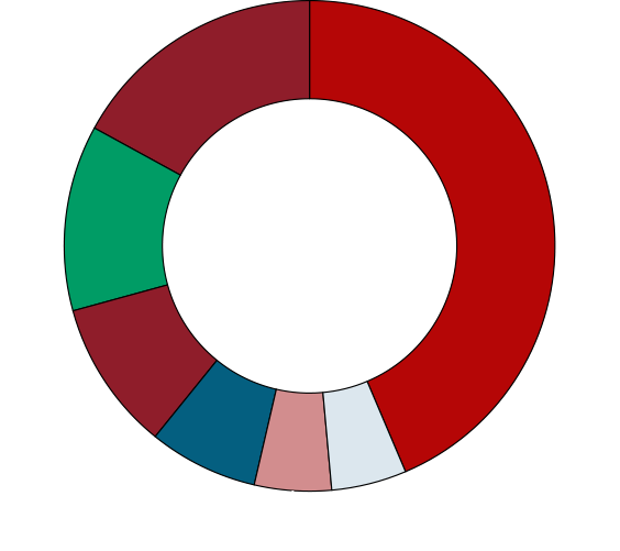 Network-Layer DDoS Attack Activity