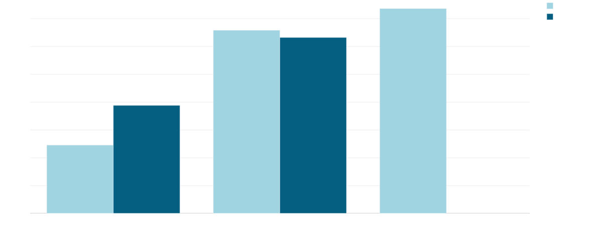 Network-Layer DDoS Attack Activity