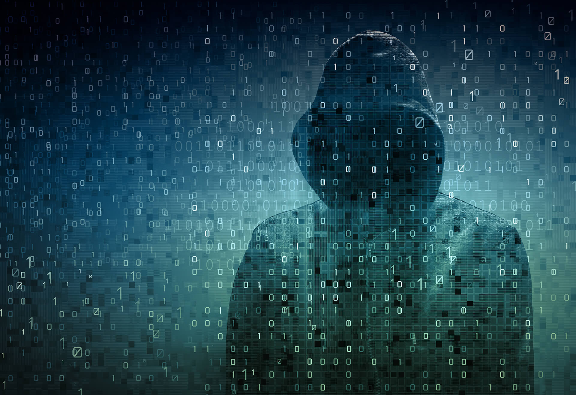 Profile of a Hacker