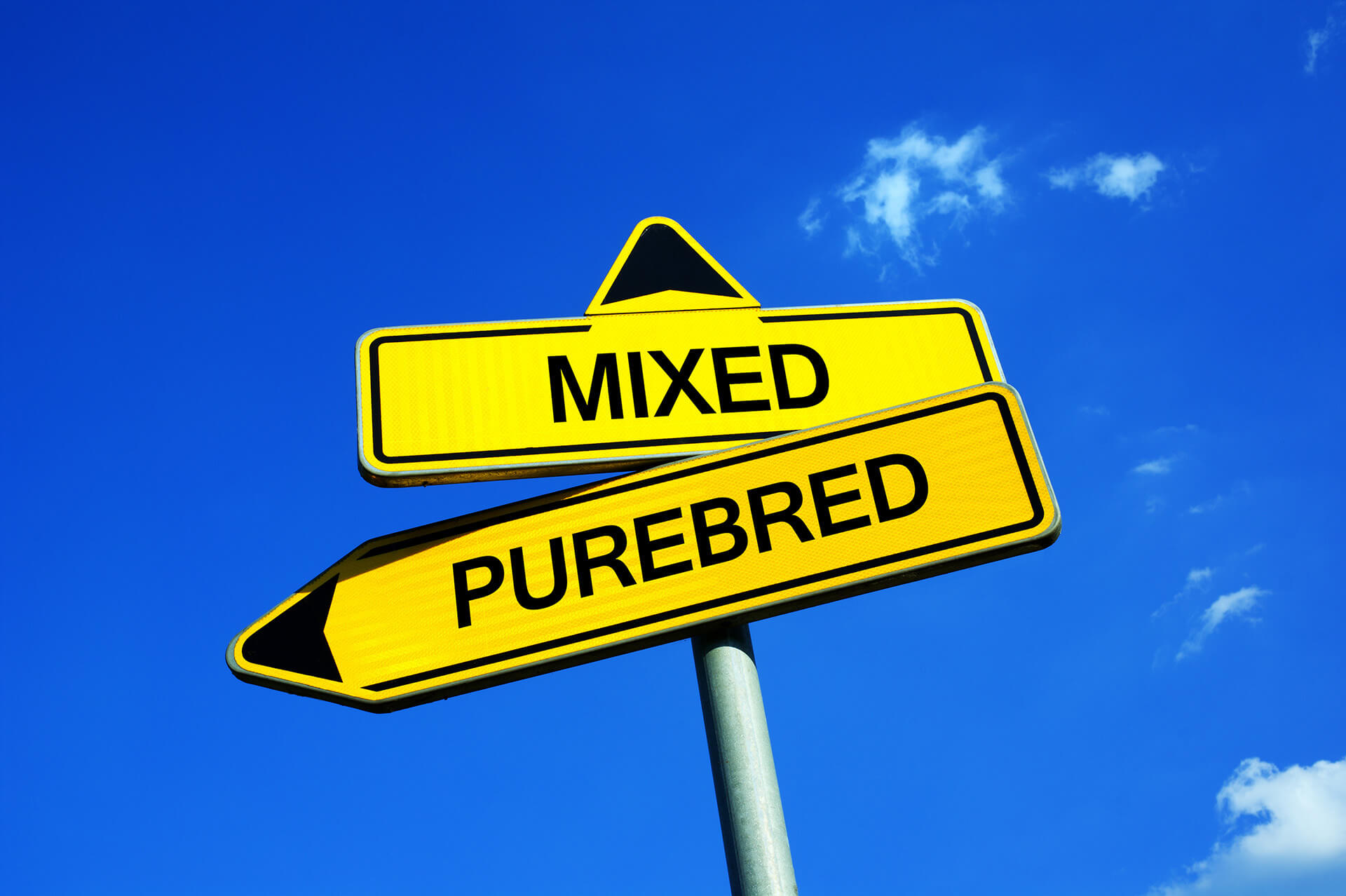 Hybrid Cloud is Not the Goal – A Case for Full Virtualization