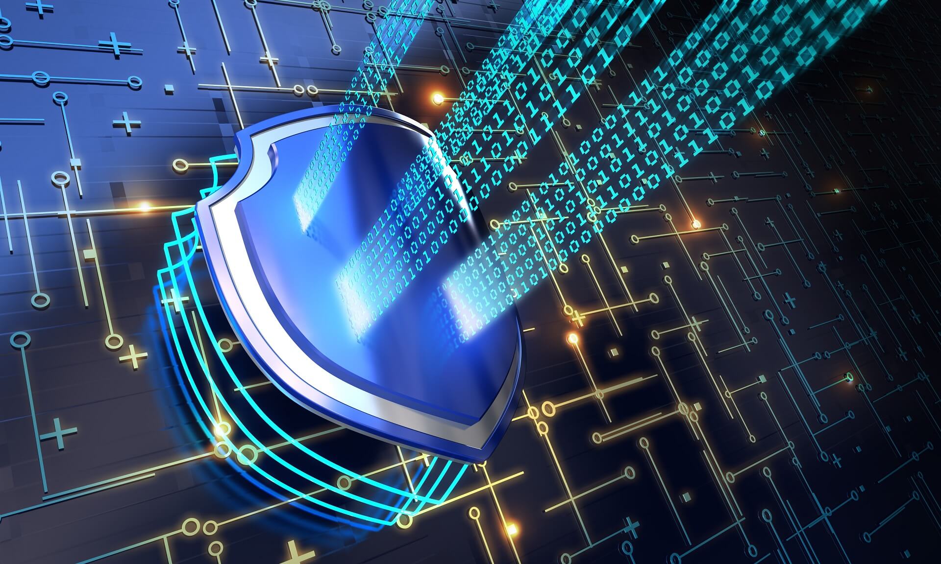 Outbound SSL Solutions Protect Assets in the Wild