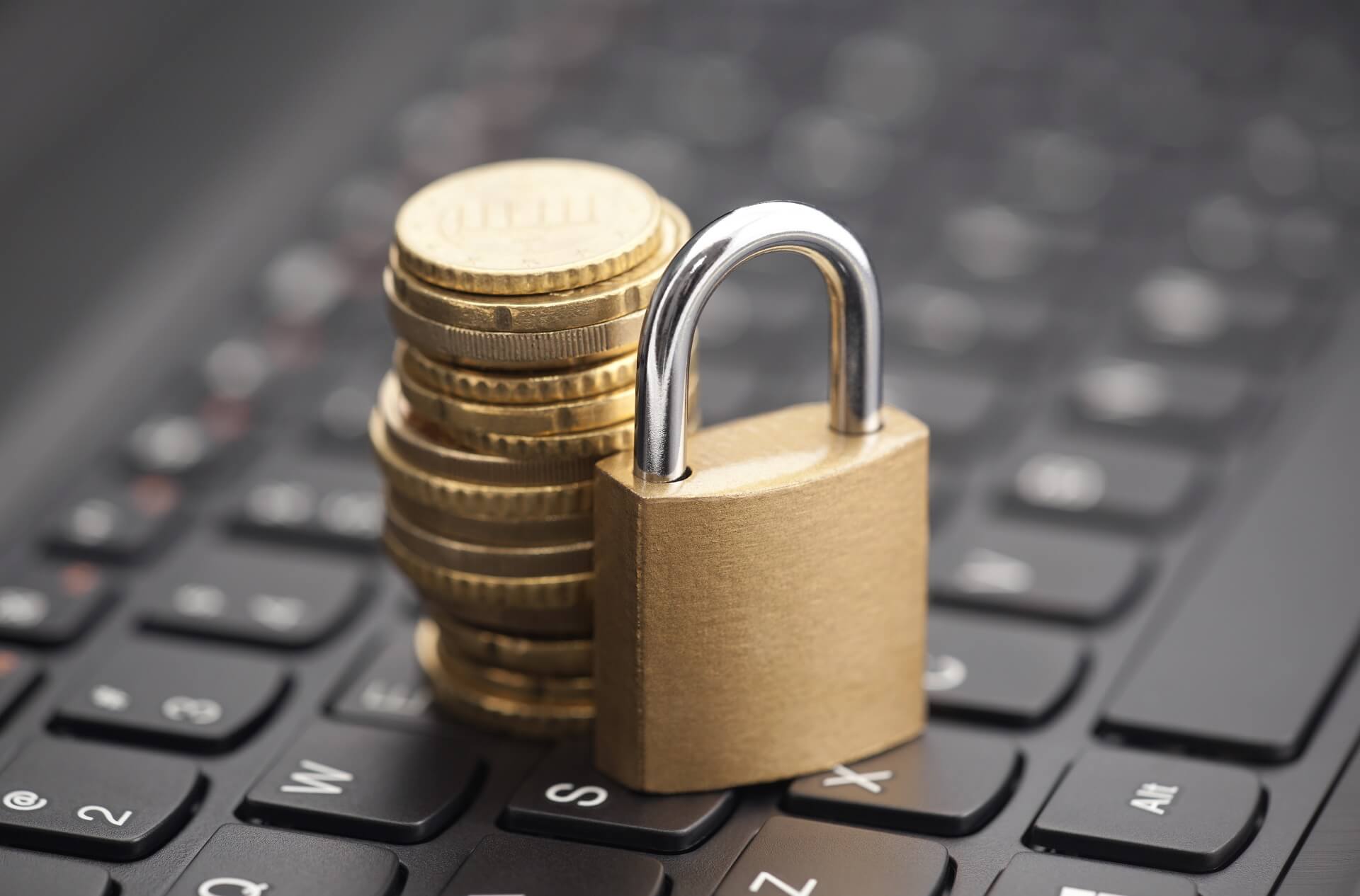 C-Suite Priorities: Privacy or Profit?