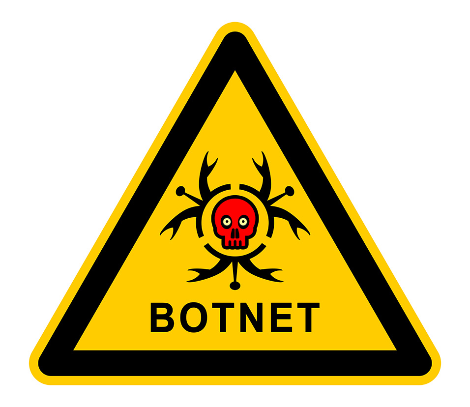What You Need to Know About Botnets [Video]