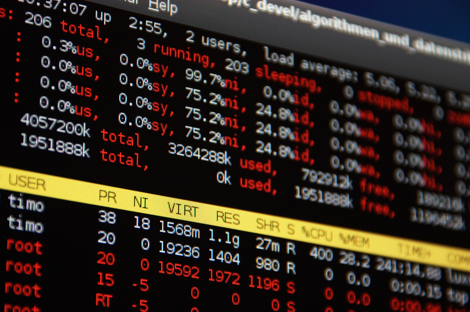 More Destructive Botnets and Attack Vectors Are on Their Way