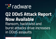 Panoramica sugli attacchi DDoS nel secondo trimestre 2021