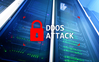Top Things to Look for in DDoS Protection