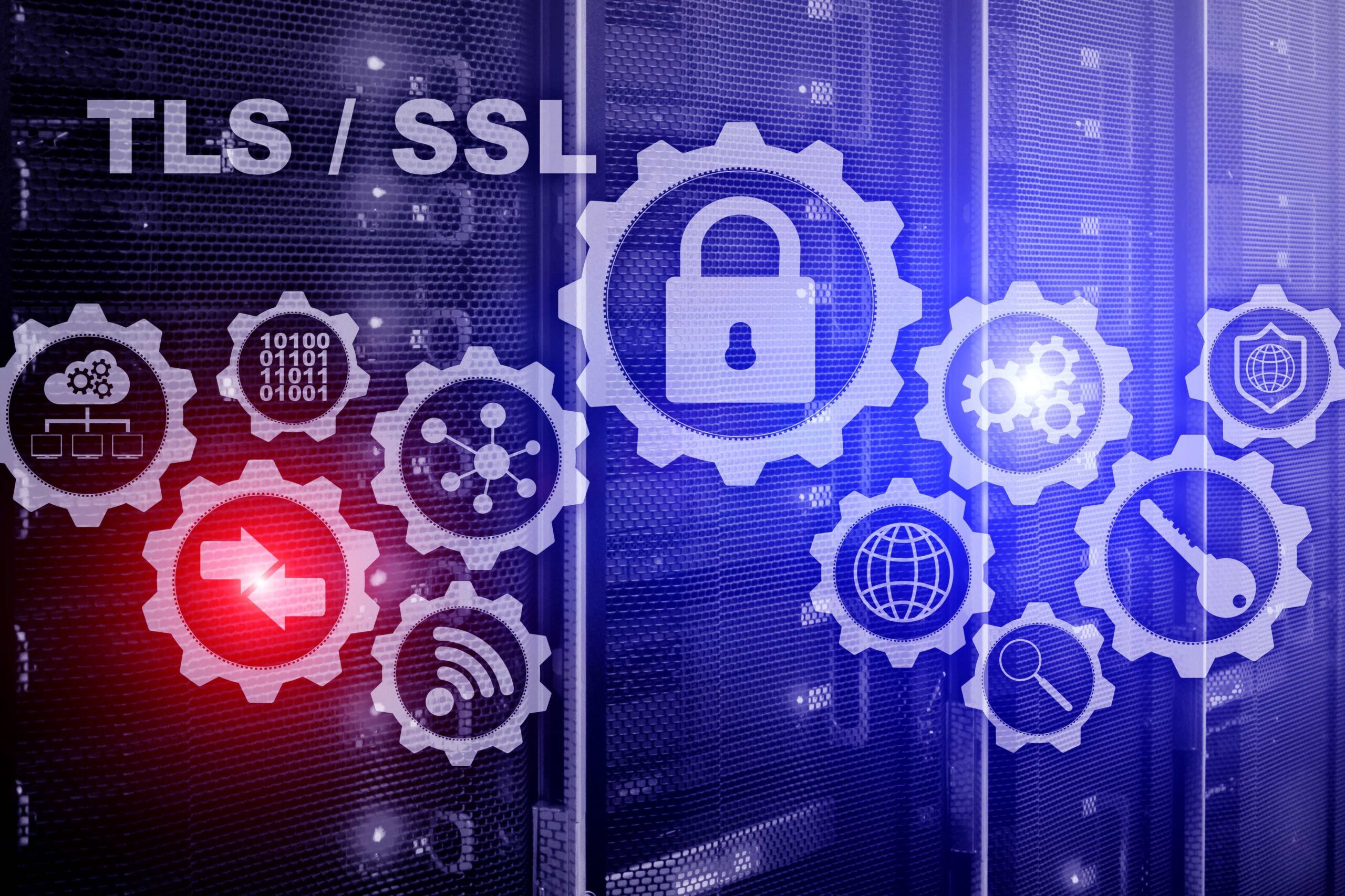 Keeping Up with TLS Technology Trends: Insights and Analysis