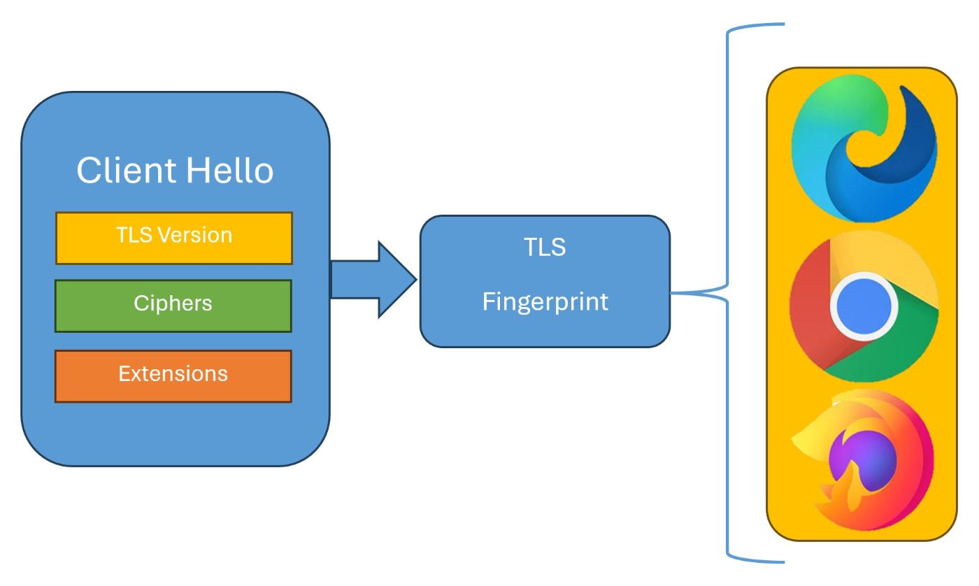 Understanding TLS Fingerprinting