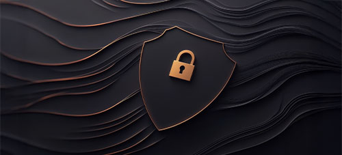 Radware Redefines Web DDoS Protection With No Decryption Defense And Maximum Flexibility