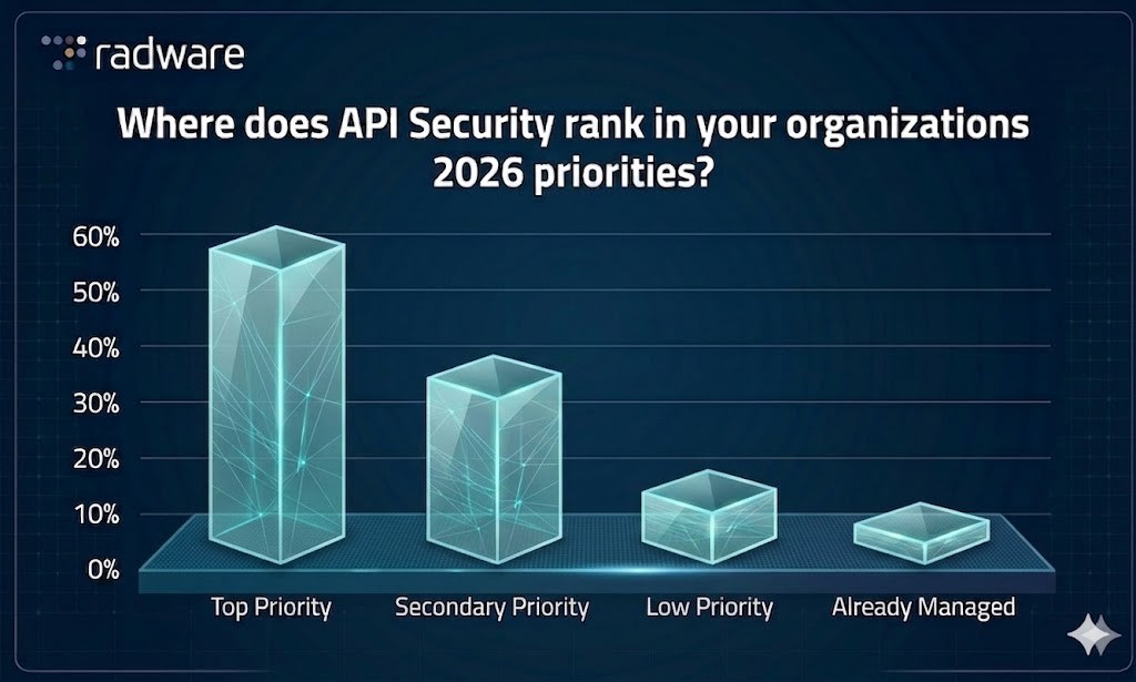 Radware Link API Security Survey