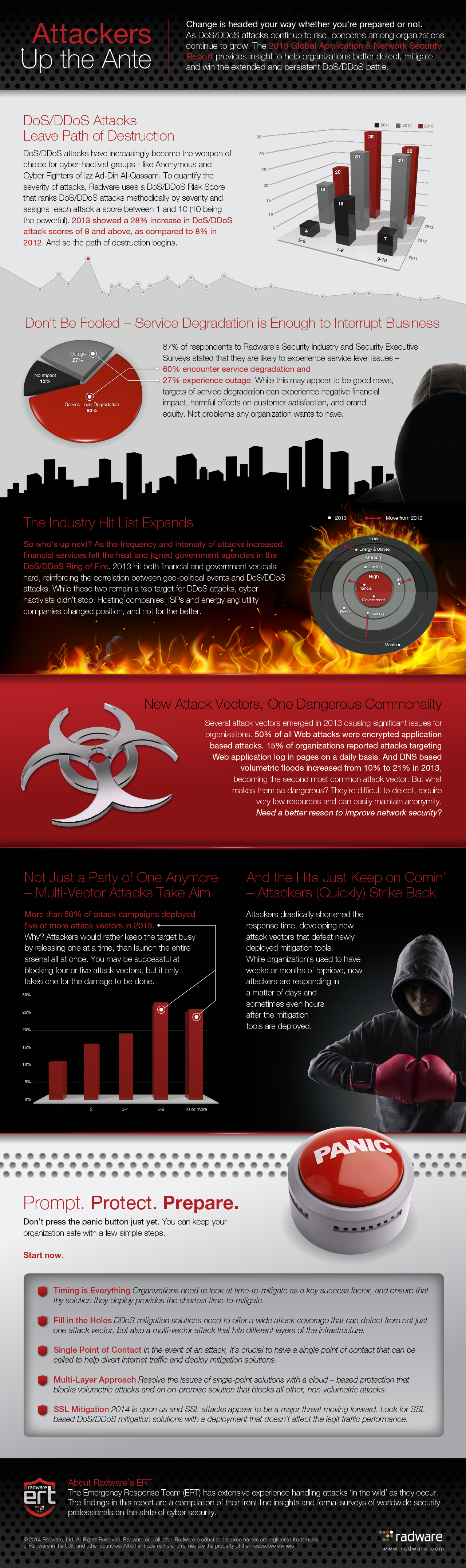 2013 Global Application & Network Security Infographic